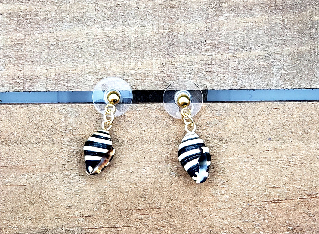 Dainty Shell Earrings (various options)
