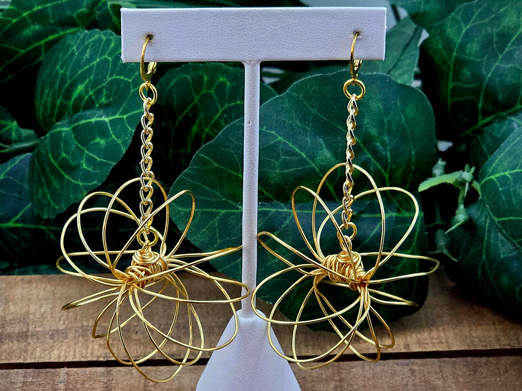 The Spiral Hoops